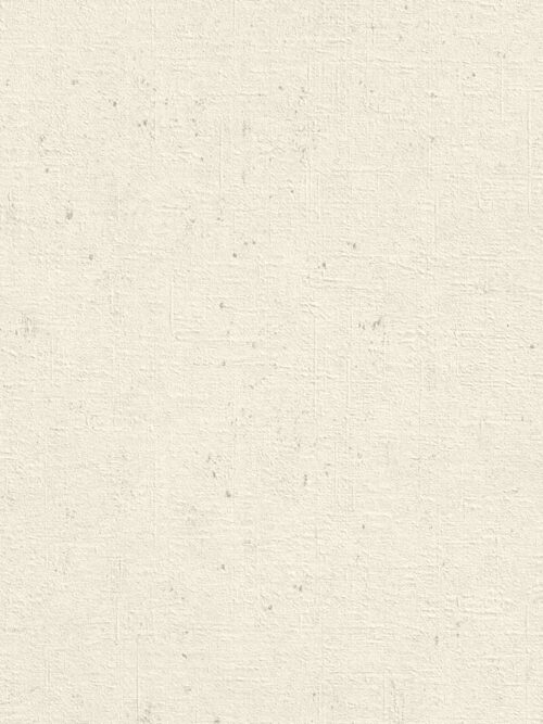 Rasch Concrete