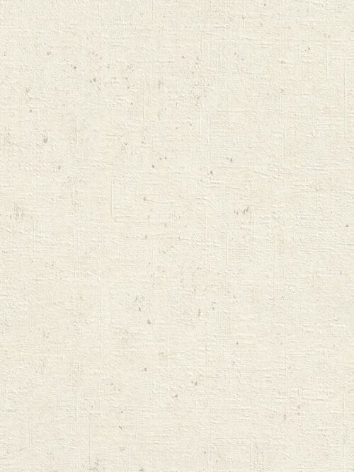 Rasch Project Wallpaper VI