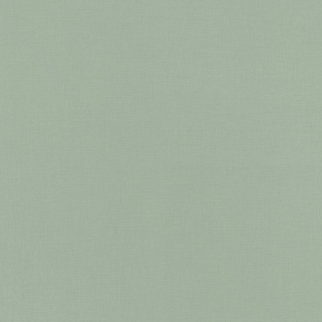 Rasch Project Wallpaper VI