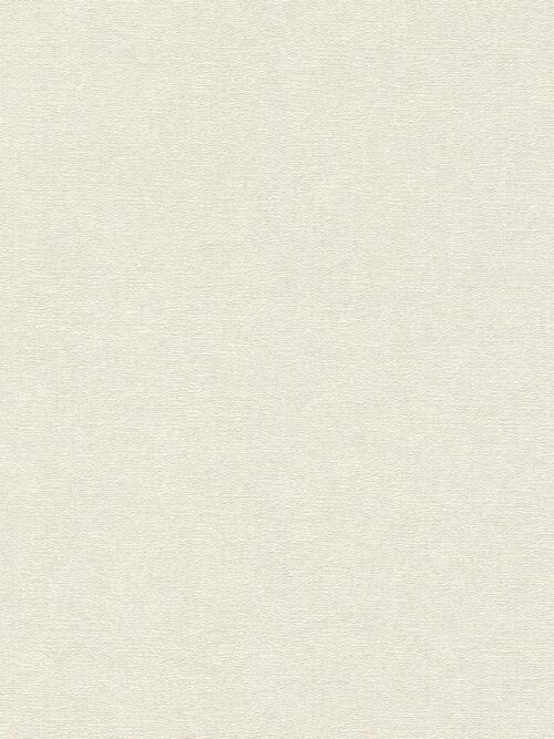 Rasch Project Wallpaper VI