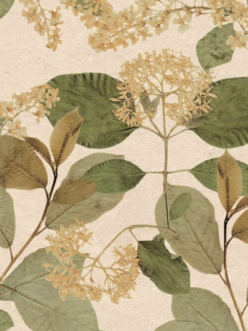 Decoprint Herbarium