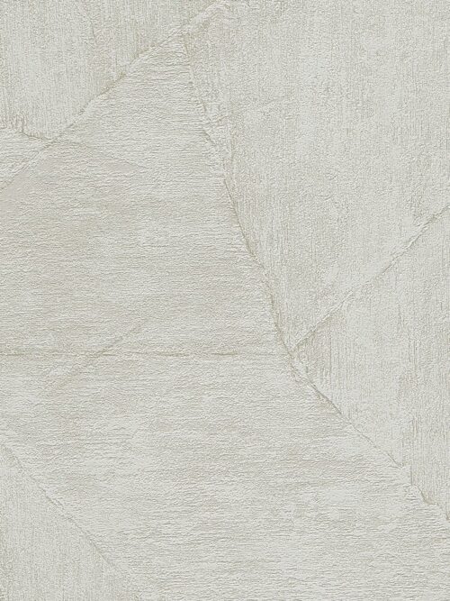 Erismann Evolution